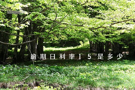 逾期日利率15是多少 逾期日利率15是多少