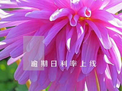 逾期日利率上线