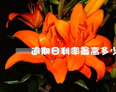 逾期日利率最高多少钱 逾期日利率最高多少钱