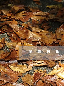 逾期日利率百分之二 逾期日利率百分之二