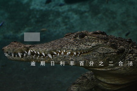 逾期日利率百分之二合法吗 逾期日利率百分之二合法吗