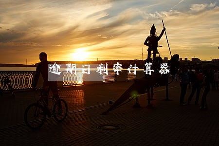 逾期日利率计算器 逾期日利率计算器