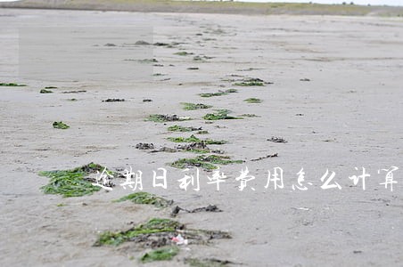 逾期日利率费用怎么计算