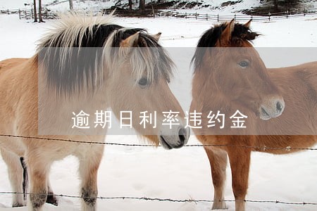 逾期日利率违约金