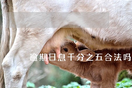 逾期日息千分之五合法吗 逾期日息千分之五合法吗
