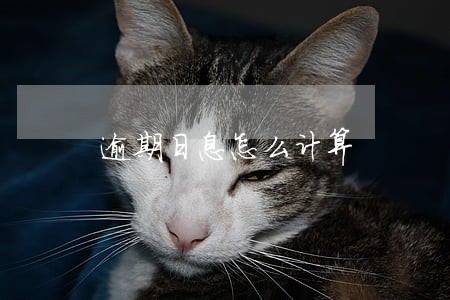 逾期日息怎么计算 逾期日息怎么计算