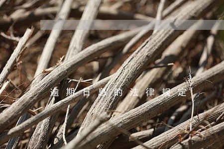 逾期日息的法律规定 逾期日息的法律规定