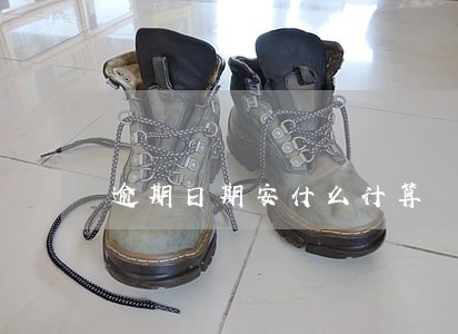 逾期日期安什么计算 逾期日期安什么计算