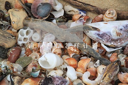 逾期日期怎样计算 逾期日期怎样计算