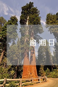 逾期日期是否超过这一天 逾期日期是否超过这一天