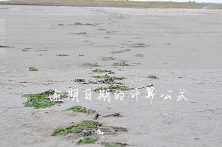 逾期日期的计算公式