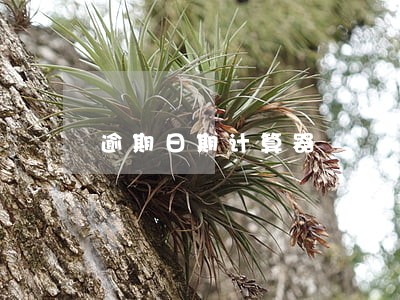 逾期日期计算器 逾期日期计算器