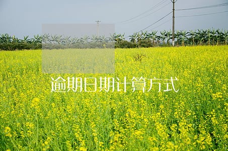 逾期日期计算方式 逾期日期计算方式