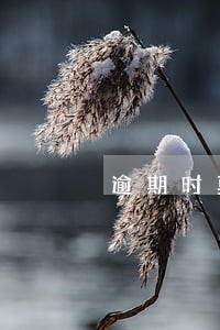 逾期时莫名收到外地短信 逾期时莫名收到外地短信