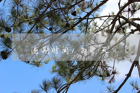 逾期时间180天 逾期时间180天