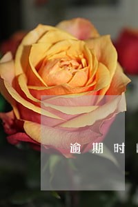 逾期时间90天怎么办