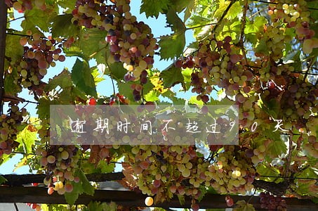 逾期时间不超过90天 逾期时间不超过90天