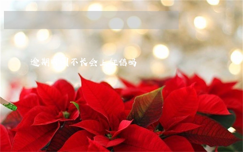 逾期时间不长会上征信吗 逾期时间不长会上征信吗