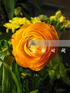 逾期时间久不让分期 逾期时间久不让分期