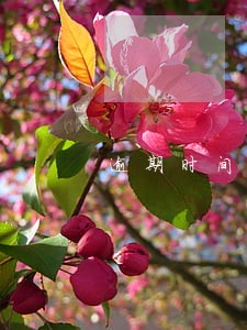 逾期时间从什么时间算起 逾期时间从什么时间算起
