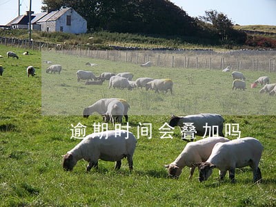 逾期时间会叠加吗