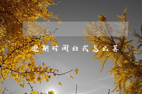 逾期时间公式怎么算 逾期时间公式怎么算