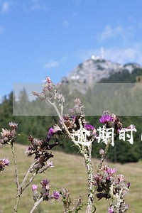 逾期时间函数怎么设置 逾期时间函数怎么设置