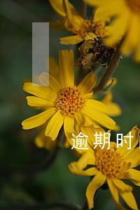 逾期时间划分 逾期时间划分