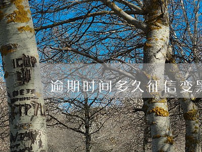 逾期时间多久征信变黑 逾期时间多久征信变黑