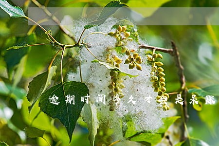 逾期时间多久才会是呆账 逾期时间多久才会是呆账