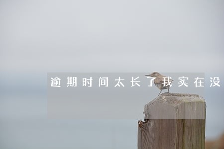 逾期时间太长了我实在没钱 逾期时间太长了我实在没钱