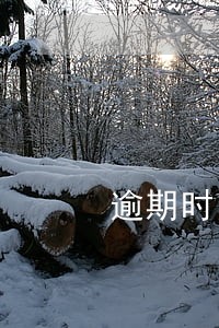 逾期时间太长利息还不起怎么办 逾期时间太长利息还不起怎么办
