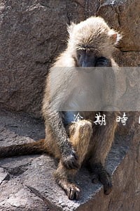 逾期时间太长如何协商去掉违约金 逾期时间太长如何协商去掉违约金