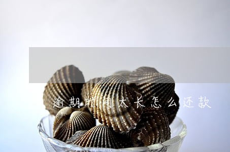 逾期时间太长怎么还款 逾期时间太长怎么还款
