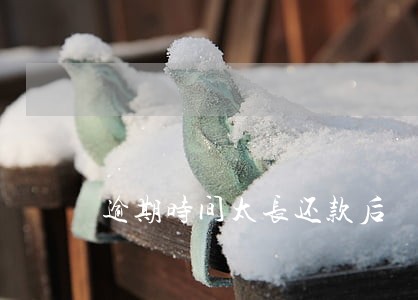 逾期时间太长还款后 逾期时间太长还款后