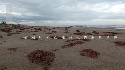 逾期时间已经超记国家免责期 逾期时间已经超记国家免责期