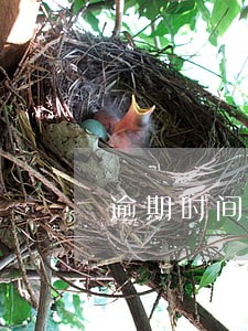 逾期时间已过国家免责期 逾期时间已过国家免责期