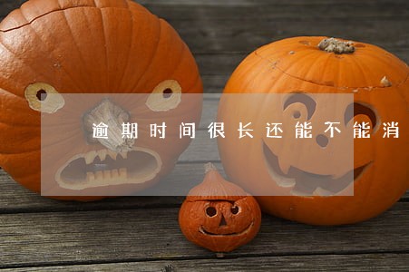 逾期时间很长还能不能消除记录 逾期时间很长还能不能消除记录