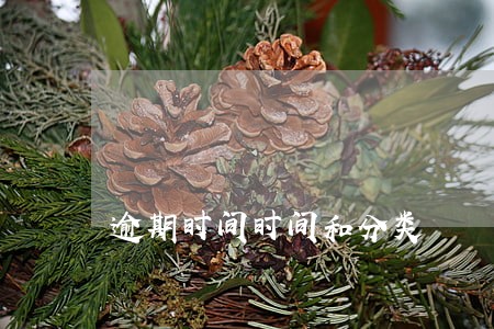 逾期时间时间和分类