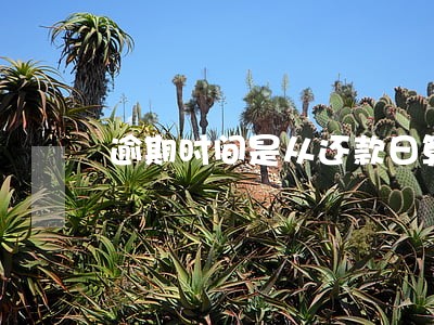 逾期时间是从还款日算吗 逾期时间是从还款日算吗
