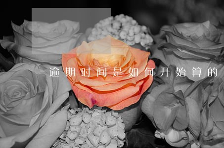 逾期时间是如何开始算的 逾期时间是如何开始算的