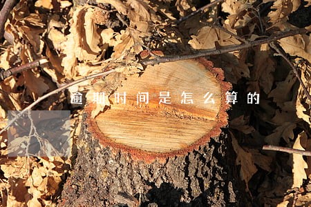 逾期时间是怎么算的 逾期时间是怎么算的