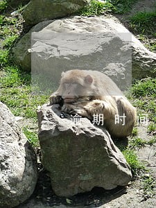 逾期时间是短信发过来开始算的吗 逾期时间是短信发过来开始算的吗