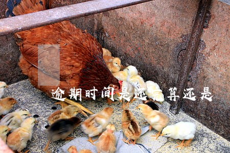 逾期时间是还完算还是 逾期时间是还完算还是