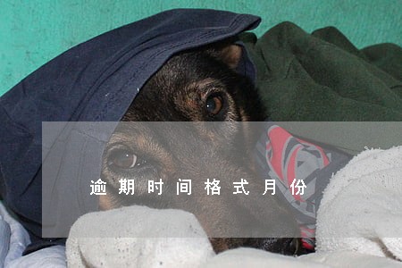 逾期时间格式月份 逾期时间格式月份