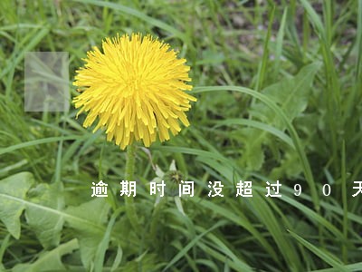 逾期时间没超过90天 逾期时间没超过90天