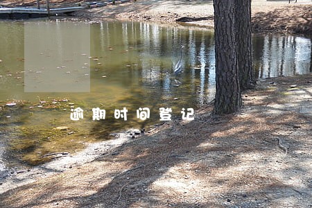 逾期时间登记