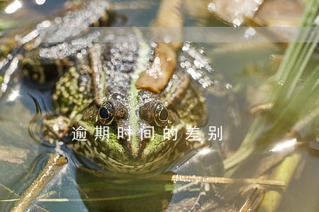 逾期时间的差别 逾期时间的差别