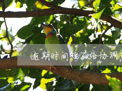 逾期时间短不给协调商 逾期时间短不给协调商