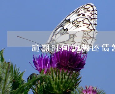 逾期时间短想还债怎么划算 逾期时间短想还债怎么划算